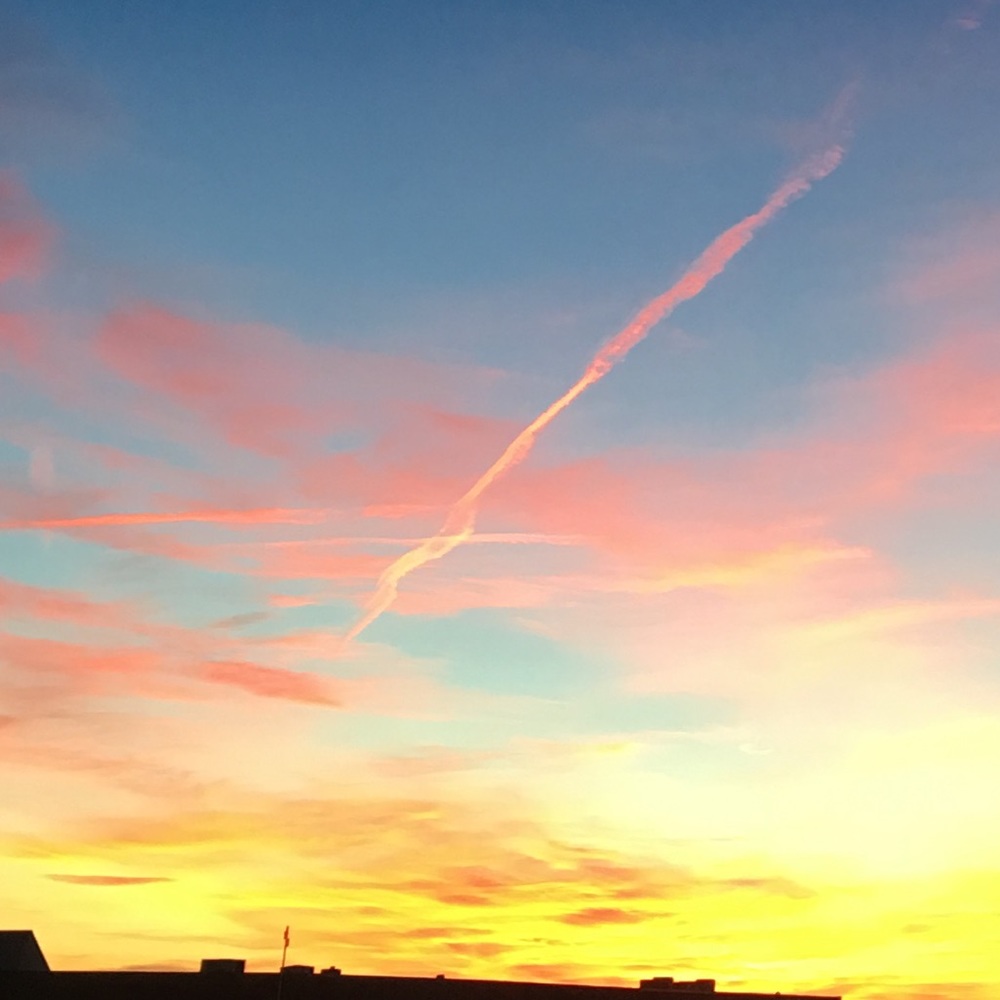 Meet your Posher, Shabz